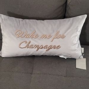 NWT Ted Baker Champagne Pillow